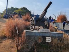 -上海吴淞炮台湾国家湿地公园