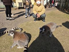 -无锡动物园·太湖欢乐园