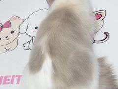-FAELING PETS美天灵宠物(富力广场店)