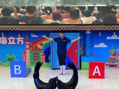 -成都浩海立方海洋公园