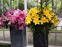 -上海鲜花港