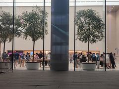 -Apple零售店(苏州店)