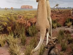 -陕西自然博物馆