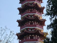 -云龙湖旅游景区