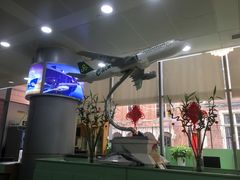 -春秋旅游航空(西藏路分部)