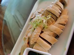 -前小桔亲子创意农场·草莓采摘·露营烧烤