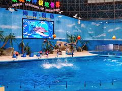 -泉城欧乐堡海洋极地世界