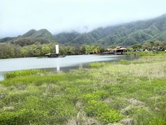 -大九湖