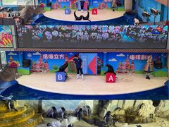 -成都浩海立方海洋公园