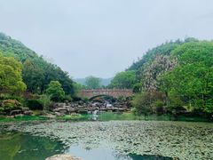 -桃花岭景区
