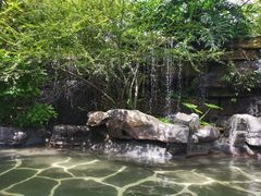 -昆明柏联SPA温泉
