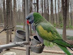 -昆山城市生态森林公园