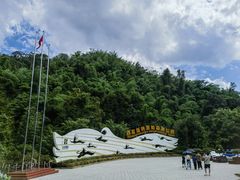 -西双版纳原始森林公园