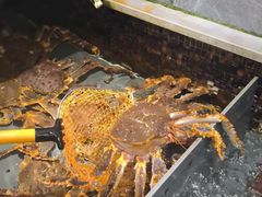 -阿拉斯加·海货(马王堆店)