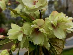 -新天地活力PARK