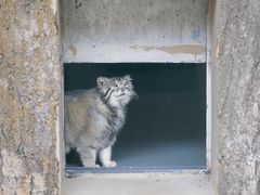 -青藏高原野生动物园