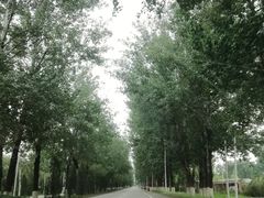 -顺鑫绿色度假村