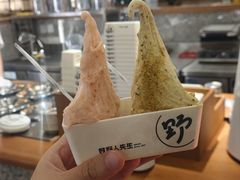 -野人先生Gelato(上海长宁龙之梦店)