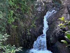 -广州白江湖森林公园