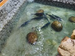 -耕渔小院·湖南鱼鲜(望城店)