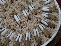 -隆都四季香饭店(碧海路店)