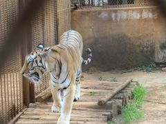 -昆明动物园