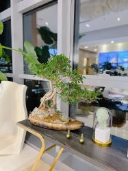 -北京米扬丽格医疗美容·联合丽格鼻整形中心