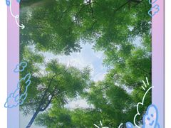 -桂溪生态公园