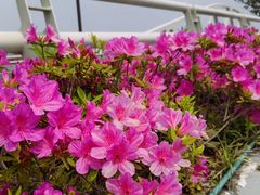 -万达广场(南京江宁店)