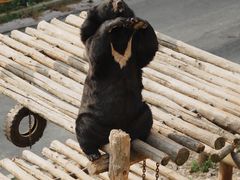 -大连森林动物园