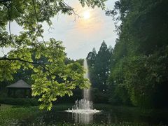 -上海共青森林公园