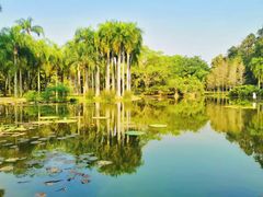 -中国科学院西双版纳热带植物园