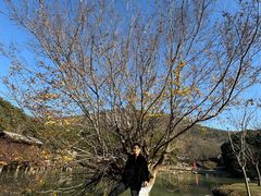 -宝岩生态观光园