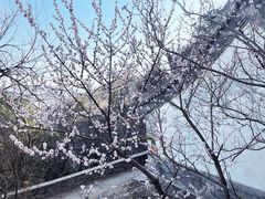 -鹫峰国家森林公园