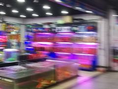 -苏州艺都古玩花鸟市场