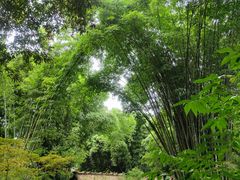-成都杜甫草堂博物馆