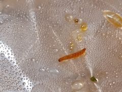 -上海健康医学院北苑食堂