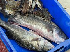 -丰收渔港饭店(嵊泗店)