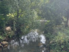 -白马涧龙池景区