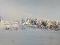 -秦岭风景区