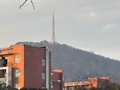 -安徽新华学院