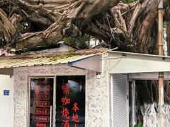 -溪岸路花鸟市场