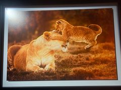 -罗红摄影艺术馆