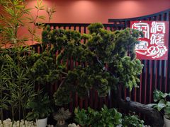 -洞庭家宴·头牌甲鱼(广渠门店)