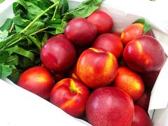 -西郊国际农产品交易中心