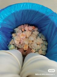 -德哥灰指甲脚气甲沟炎跖疣护理