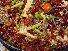 -老板恋上鱼(恒隆广场店)