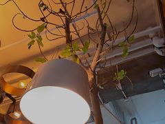 -the rug 飞毯 (朝阳公园店)