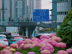 -万达影城(闵行颛桥万达广场杜比影院店)