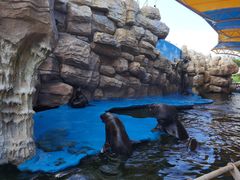 -华夏文旅海洋公园